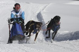 Kandersteg 2013